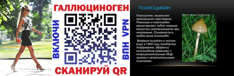 Псилоцибиновые грибы Magic Shrooms mega рабочий сайт Гдов